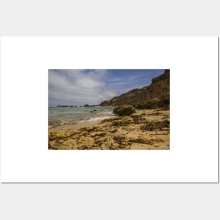 Fingal Beach, Cape Schanck, Mornington Peninsula, Victoria, Australia. Posters and Art